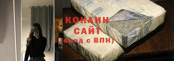 соль ск Козельск