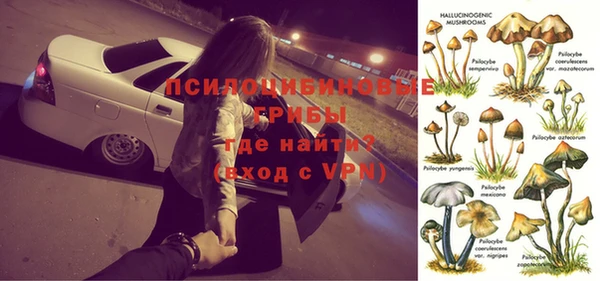 соль ск Козельск