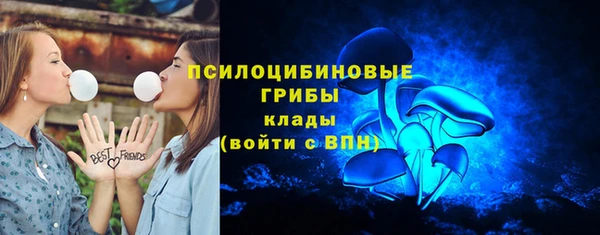 прущая мука Кодинск
