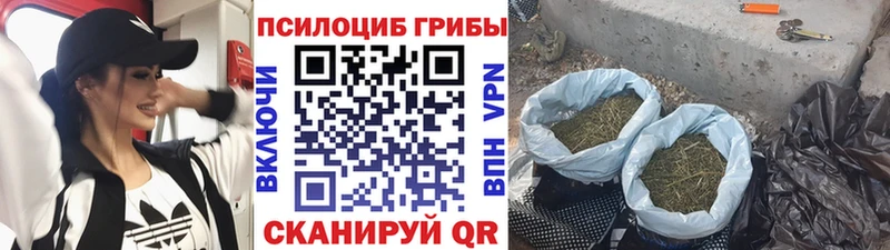 Галлюциногенные грибы Psilocybe  кракен   Мелеуз  наркошоп 